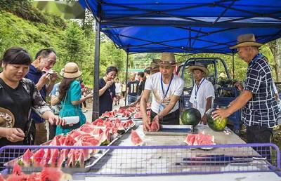 鞋帽零售领跑，我市社会消费品零售总额增速荣登全省榜首